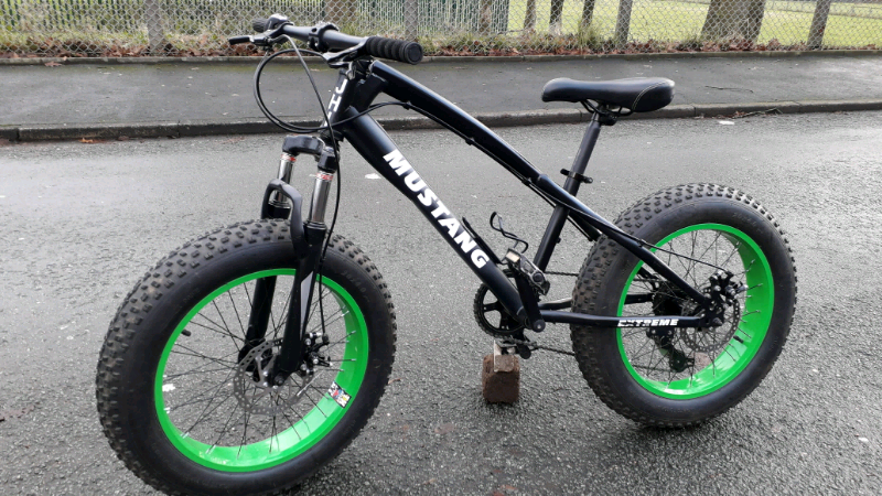 fat bike gumtree